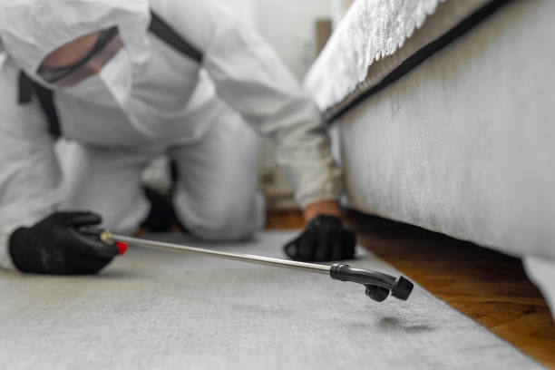 Professional Bed Bug Control technician working in Sunray, TX